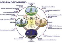 Nobel per la medicina 2017: orologio biologico e disturbi del sonno