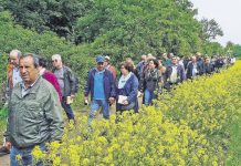 La Comunità cattolica italiana di Francoforte in pellegrinaggio a Jakobsberg