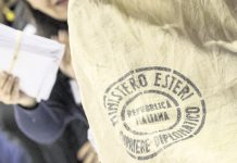 Come hanno votato  gli italiani in Germania?