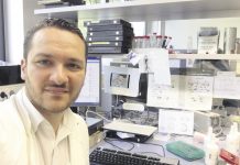 Io ce l’ho fatta! Storie italiane di successi accademici e professionali in Germania