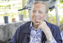 Il bisbetico indomito