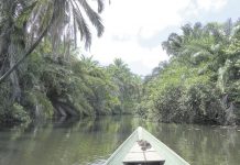 La Chiesa e l’Amazzonia