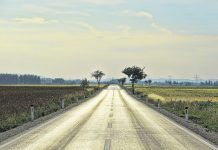 Psicologia del viaggio