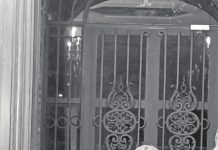 La Calabria e i suoi profumi