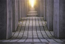 La testimonianza: emozioni ed invecchiamento (3)