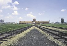 Auschwitz per non dimenticare