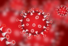 Emergenza coronavirus – difficoltà nei collegamenti con l’Italia