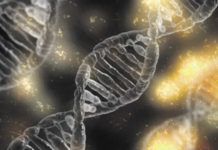 Bioetica e Dottrina Sociale della Chiesa