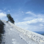 Oggi parliamo di… Custodire il cuore e creare una nuova cultura per affrontare i momenti di prova