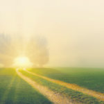 Guarire per rinascere, rinascere per guarire il mondo