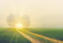 Guarire per rinascere, rinascere per guarire il mondo