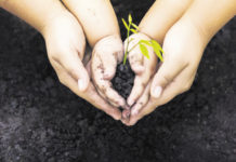 Tutto è connesso: la relazione con Dio, con il prossimo e con la terra