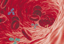 Gli anticorpi monoclonali