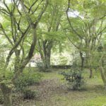P1040138_opt