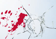 La scomparsa delle mafie