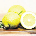 lemons-2252560_opt