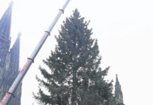L’albero di Natale davanti al Duomo di Colonia