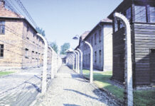 Giornata della Memoria: la Germania, il ricordo e la responsabilità di un’Europa che non può dimenticare