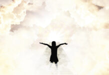 Il sogno dell’immortalità