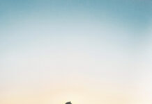 La questione dell’Io