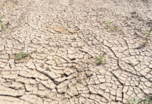 Una calamità preannunciata