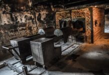 Alleanza Internazionale per la Memoria dell’Olocausto.