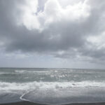 MARE_opt