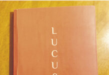 Progetto Lucus