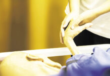 Patientenverfügung: la voce del paziente nel sistema sanitario tedesco