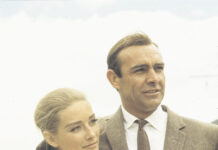 Sono al lavoro gli imbecilli del politicamente corretto!