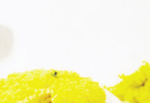 La Torta mimosa: un dolce omaggio alla femminilità