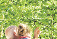 Patronati – Il sistema previdenziale tedesco