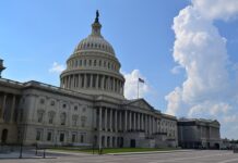 L’eleggibilità al voto negli Usa: solo per cittadini?