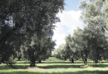 La Puglia meravigliosa e meno conosciuta