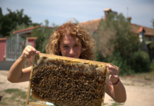 Il sapore dell’esistenza