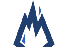 La AfD si separa da Junger Alternative