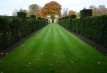 Dati, energia, natura e sicurezza: cosa cambia a settembre in Germania