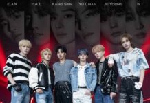 La storia di NCHIVE: dalla genesi al successo internazionale