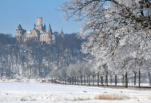 Il successo del New Adult: da Maxton Hall alle novità dall’Italia