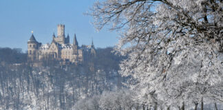 Il successo del New Adult: da Maxton Hall alle novità dall’Italia