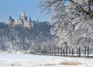 Il successo del New Adult: da Maxton Hall alle novità dall’Italia