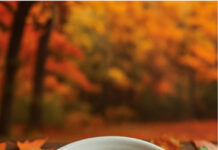 Sapori che scaldano l’attesa: le ricette dell’Avvento e del Natale