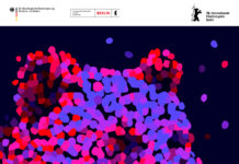 Berlinale 2026. Dov’è il cinema italiano?