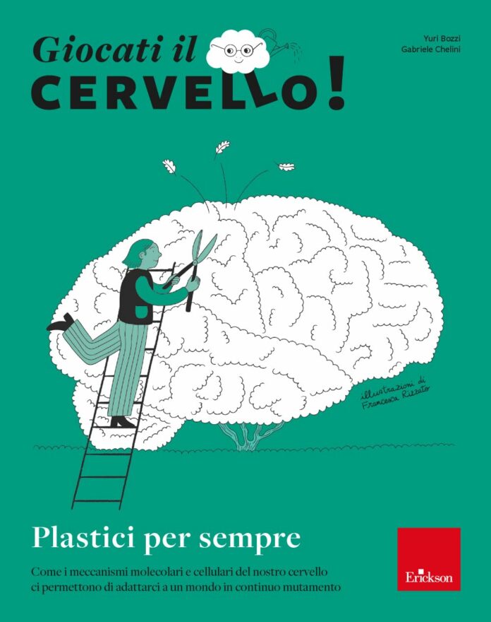 giocati il cervello