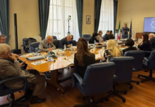 CGIE alla Farnesina: più partecipazione, servizi efficienti e centralità degli italiani nel mondo