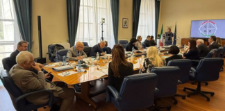 CGIE alla Farnesina: più partecipazione, servizi efficienti e centralità degli italiani nel mondo