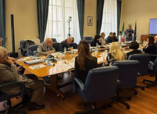 CGIE alla Farnesina: più partecipazione, servizi efficienti e centralità degli italiani nel mondo