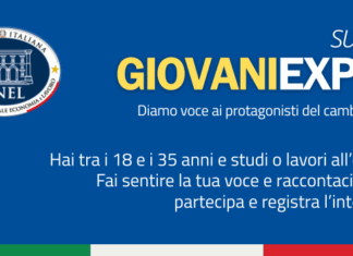 IL CGIE CON IL CNEL PER DARE VOCE AI GIOVANI EXPAT
