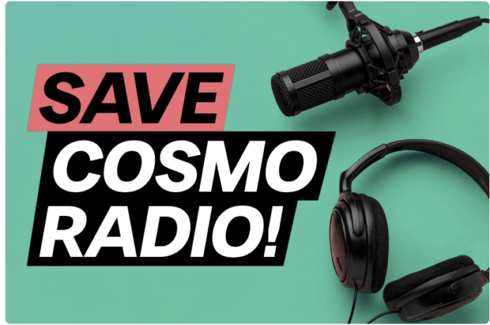 Screenshot COSMO-Petition